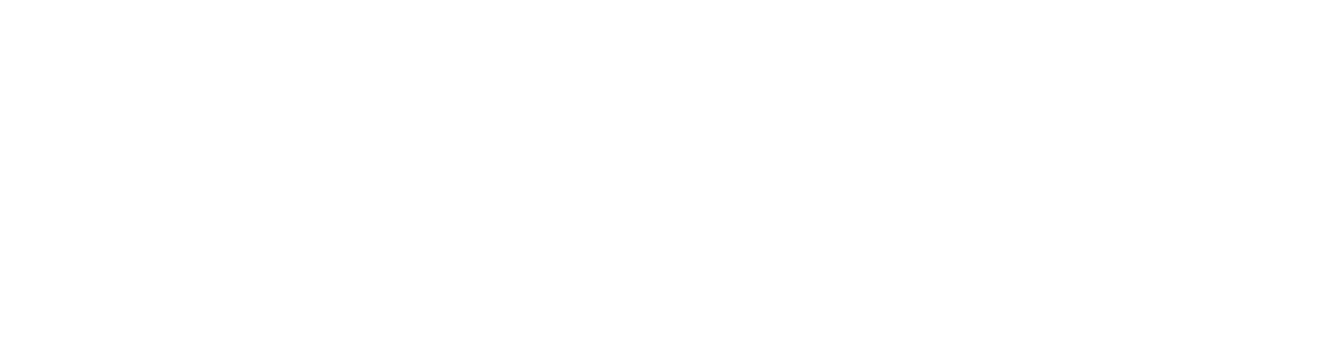 VICTLEO GROUP
